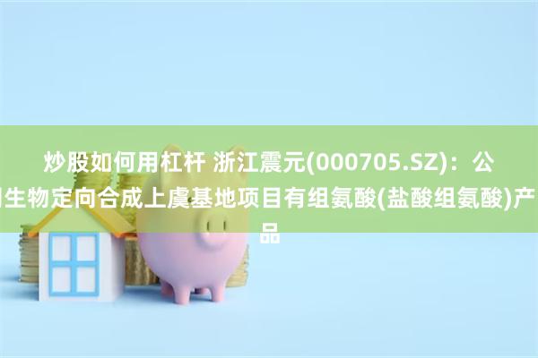炒股如何用杠杆 浙江震元(000705.SZ)：公司生物定向合成上虞基地项目有组氨酸(盐酸组氨酸)产品