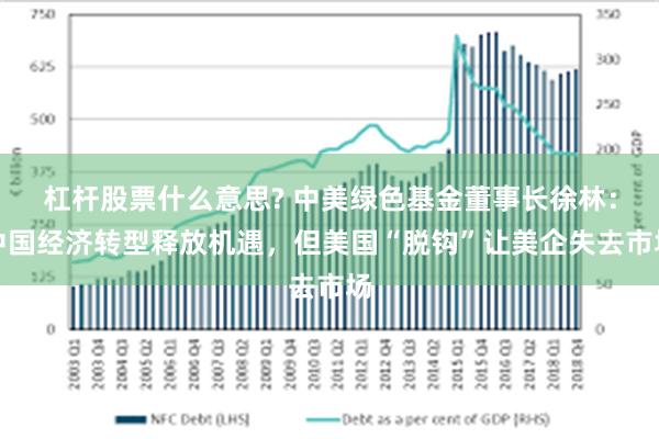 杠杆股票什么意思? 中美绿色基金董事长徐林：中国经济转型释放机遇，但美国“脱钩”让美企失去市场