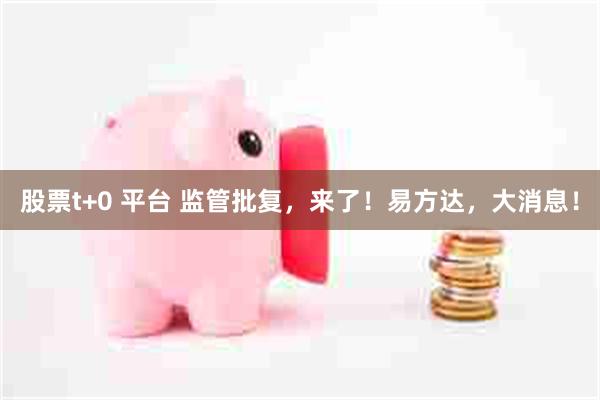 股票t+0 平台 监管批复，来了！易方达，大消息！