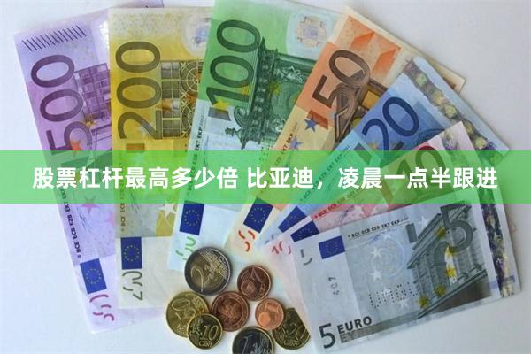 股票杠杆最高多少倍 比亚迪，凌晨一点半跟进